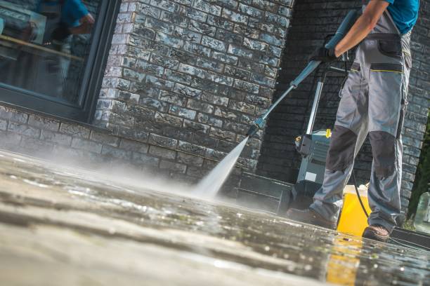 Pre-Holiday Cleaning in Highland Park, PA